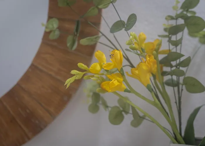 Casa De Santa Rita São Roque