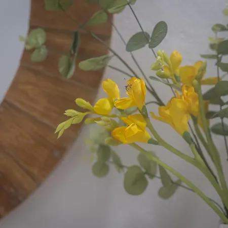 Casa De Santa Rita São Roque